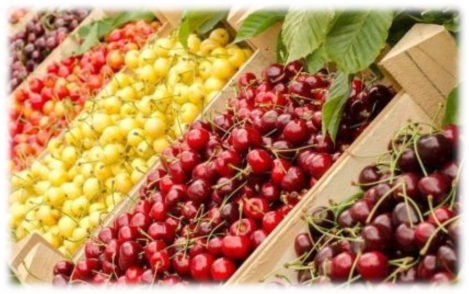 Черешня: користь, цілющі властивості, калорійність ягоди, чим вона може  нашкодити — Укрaїнa — tsn.ua